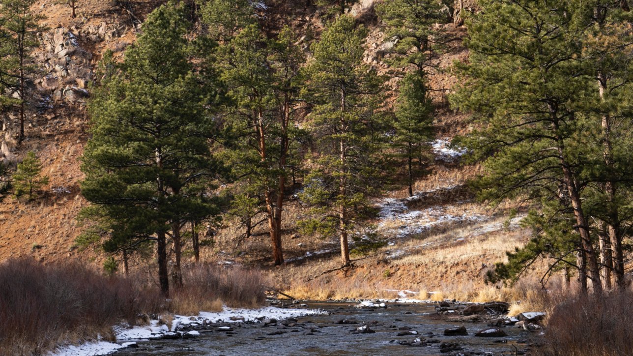 Colorado landscape