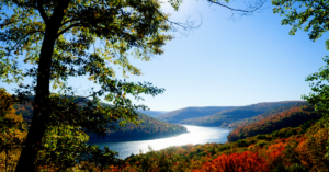 PA Periodontal Practice for Sale near Allegheny National Forest
