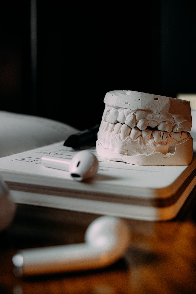 dental mold on a desk