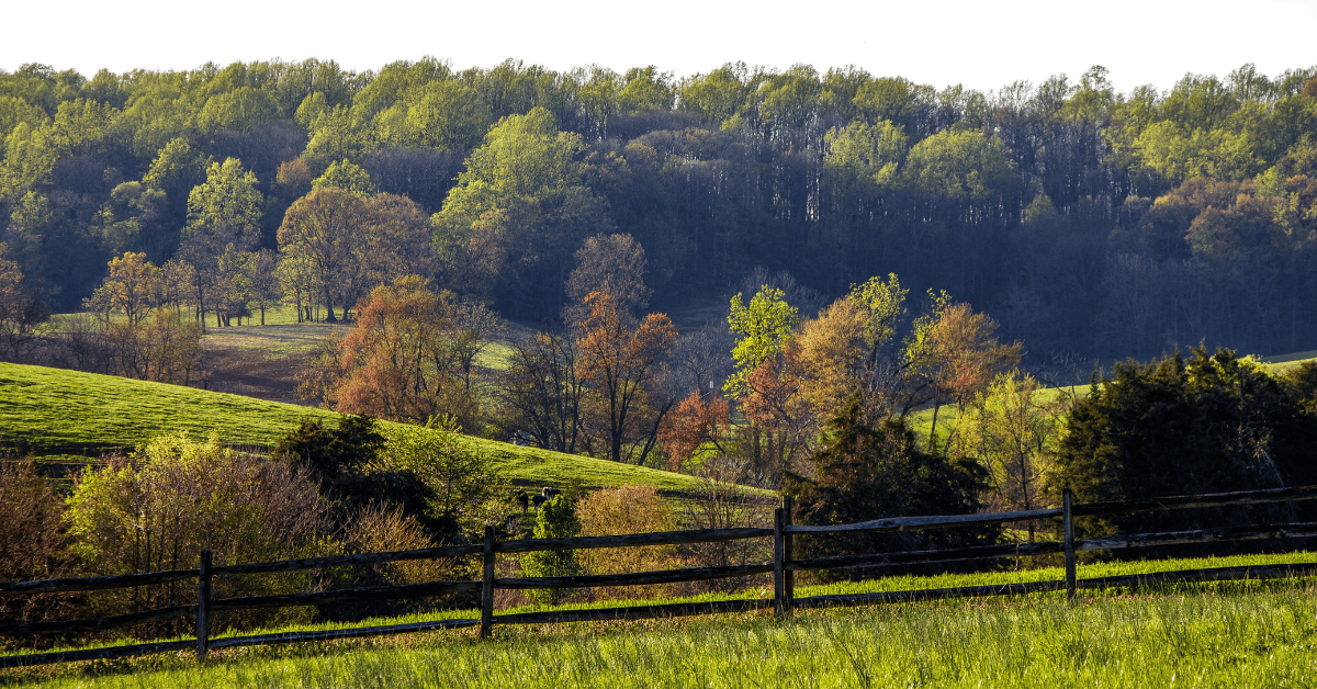 Northern Virginia Multi-location Endodontic Practice for Sale