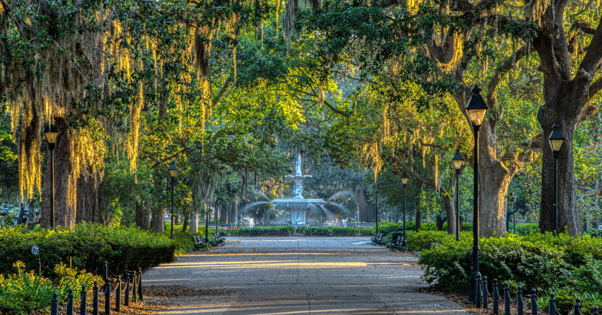 Pediatric Dental Practice – Partnership Opportunity in Savannah, GA