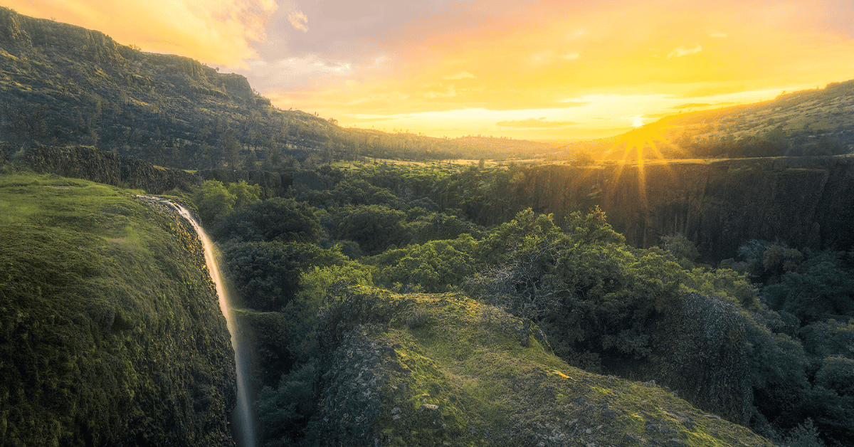 Orthodontic Practice for Sale – Multiple Locations in Northern California