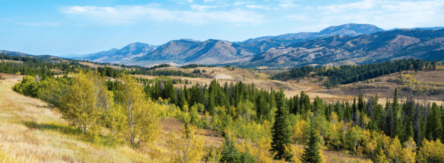 Dental Practice for Sale - Mountain West United States