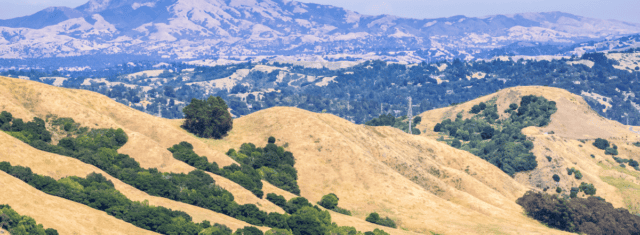 Orthodontic Practice for Sale in the East Bay Area