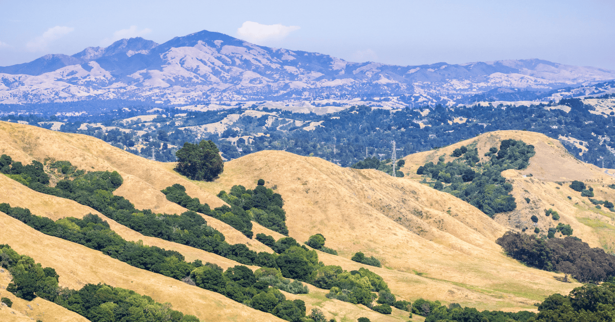 Orthodontic Practice for Sale in the East Bay Area
