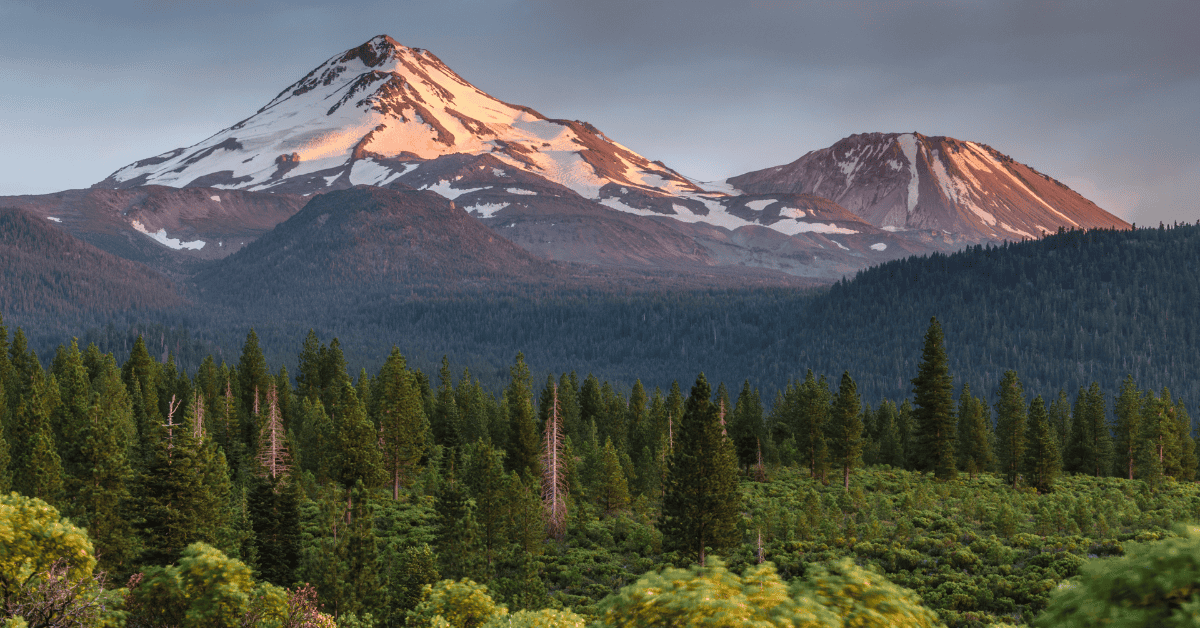 Northern California Dental Practice for Sale