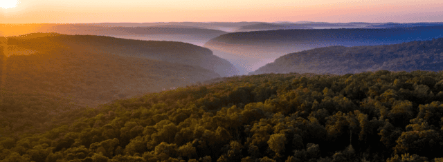Oral Surgery Practice for Sale in Arkansas