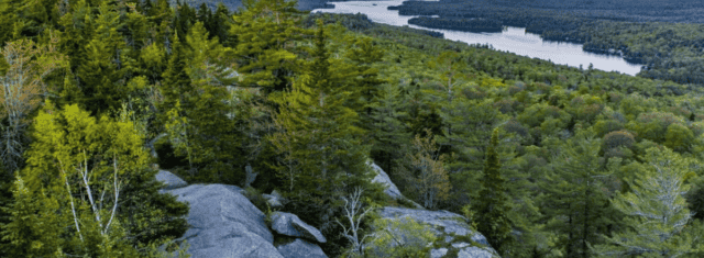 Dental Practice for Sale in Upstate NY