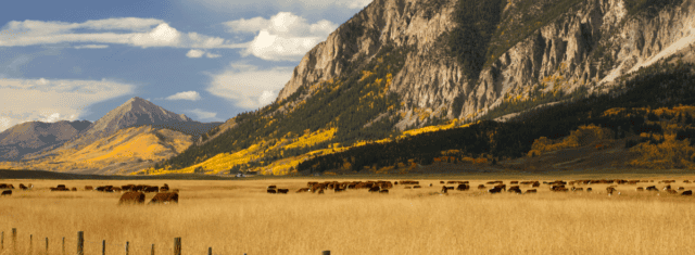 Dental Practice for Sale in Colorado Mountain Town