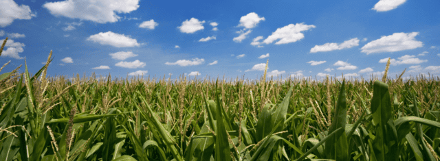 Iowa General Dental Practice for Sale