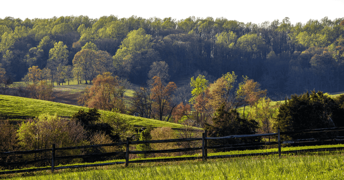 Northern Virginia Multi-location Endodontic Practice for Sale