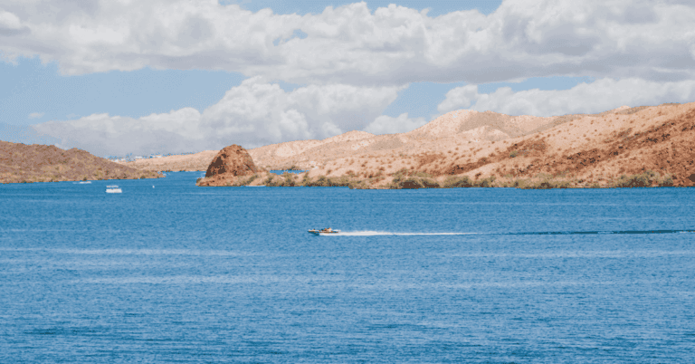 PTS Photo 1 101 768x402