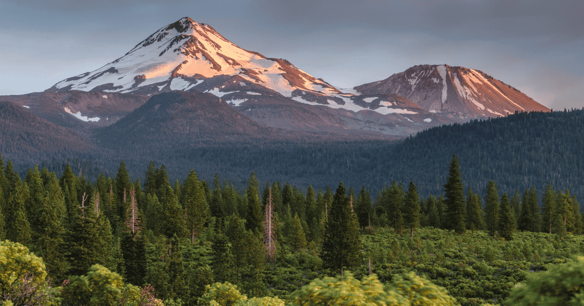 Northern California Dental Practice for Sale