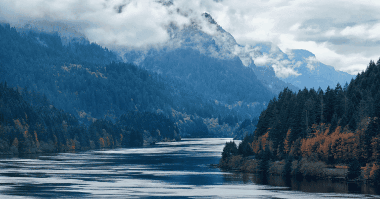 PTS Photo 1 99 768x402