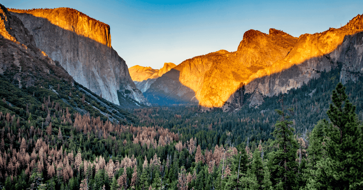 Central Valley, CA Dental Practice for Sale