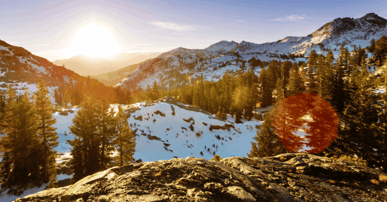 PTS Photo 18 1 768x402