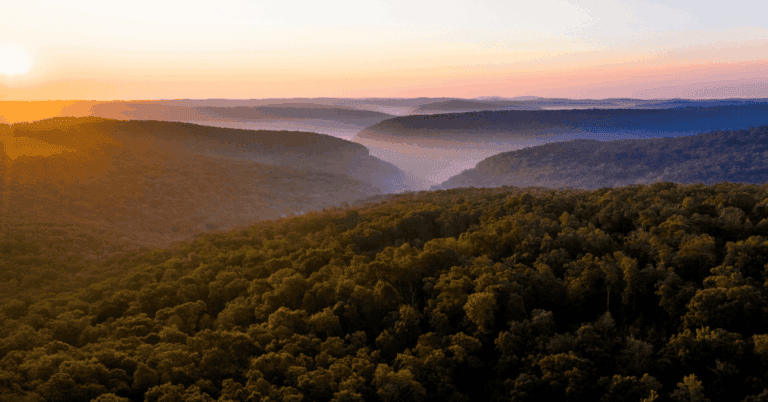 PTS Photo 2 82 768x402