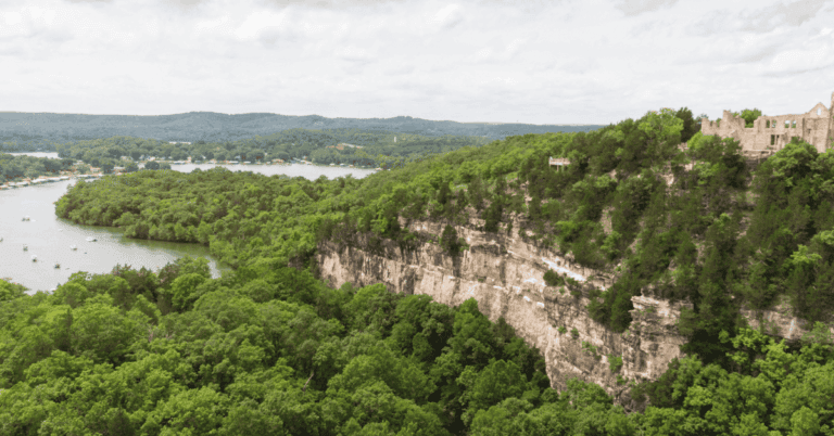 PTS Photo 3 75 768x402