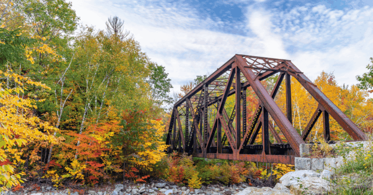 PTS Photo 3 81 768x402