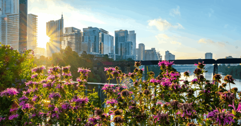 PTS Photo 4 1 21 768x402