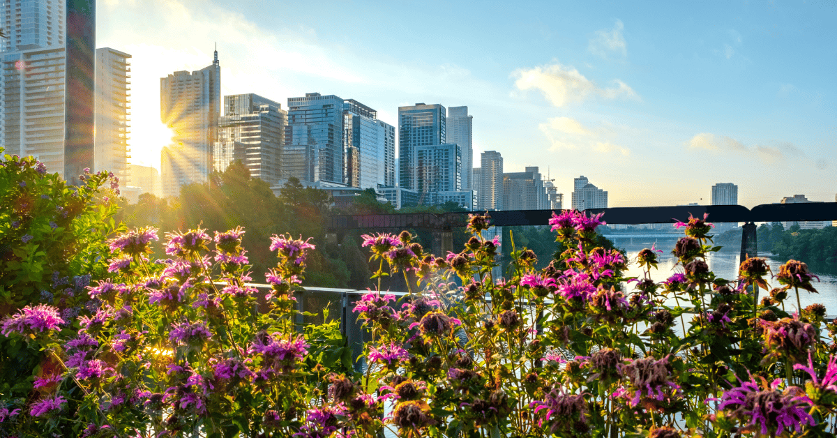 Austin, TX General Dental Practice for Sale