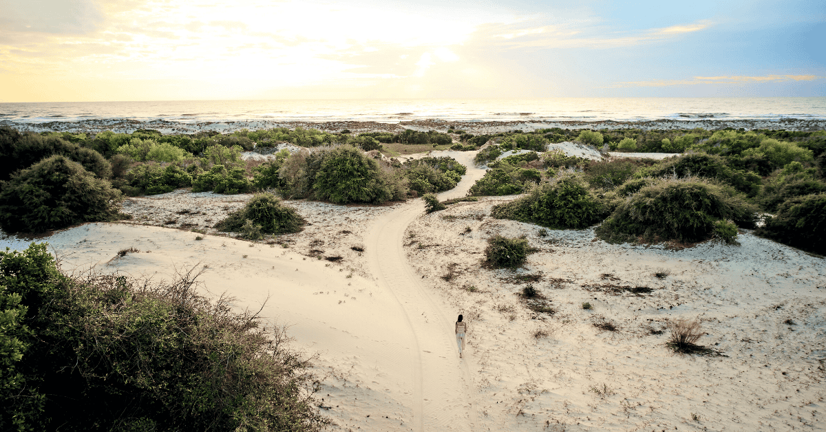 Outer Banks, NC Oral Surgery Practice for Sale