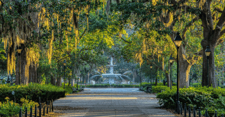 PTS Photo 6 54 768x402