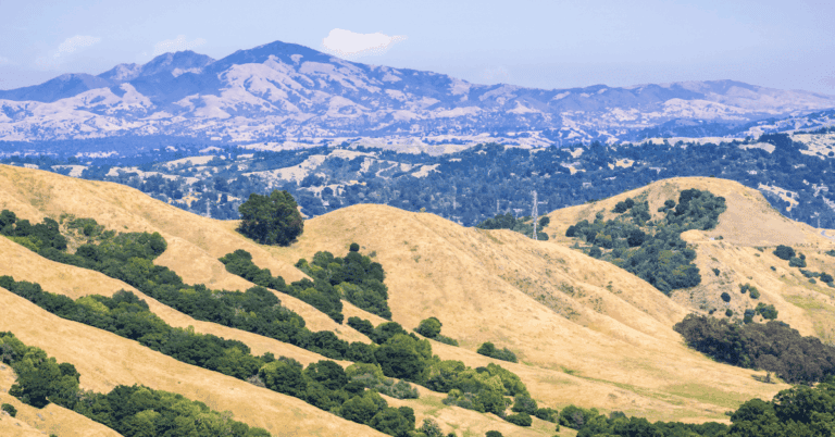 PTS Photo 6 56 768x402