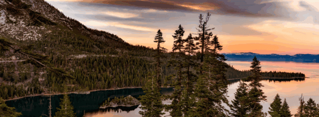 Multi-State Orthodontic Practice in the Western U.S.