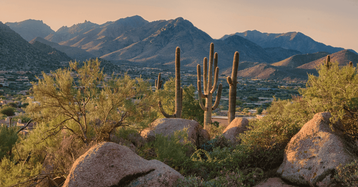 Orthodontic Practice for Sale in Phoenix, Arizona