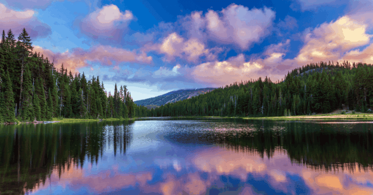 PTS Photo 8 39 768x402