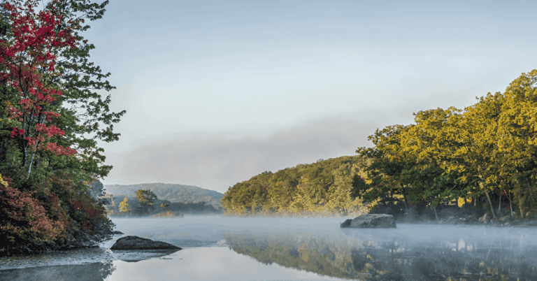 PTS Photo 91 768x402