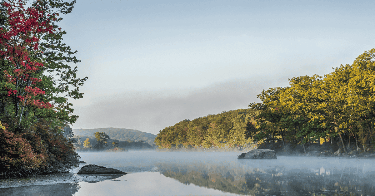 Dental Practice for Sale in Lower Hudson Valley, NY
