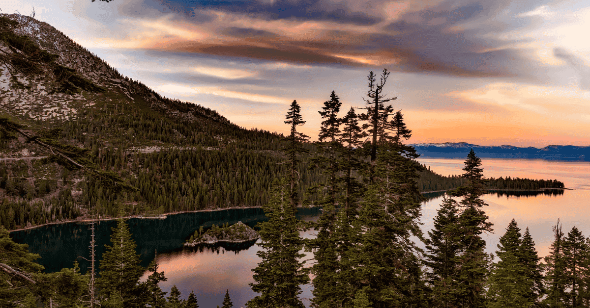 Multi-State Orthodontic Practice in the Western U.S.