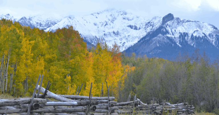 PTS Photo 11 768x402