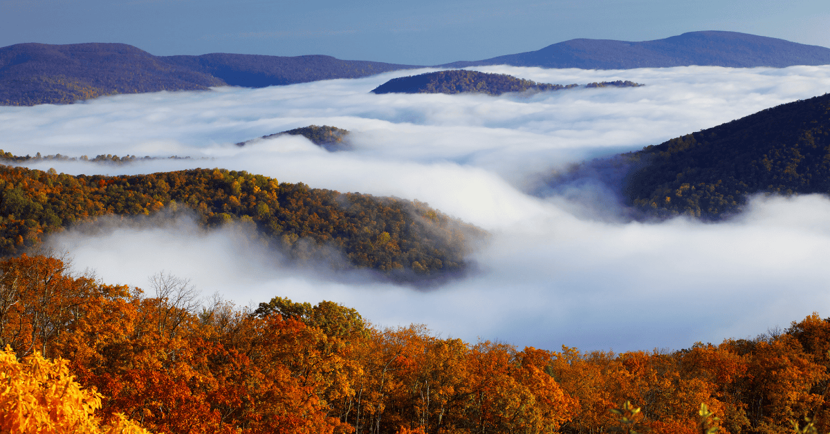 Central Virginia Oral Surgery Practice for Sale