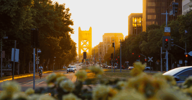 PTS Photo 15 768x402