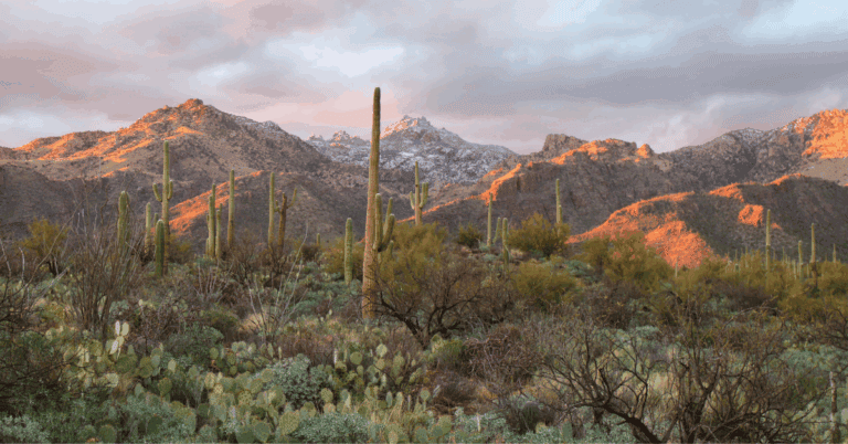 PTS Photo 17 768x402