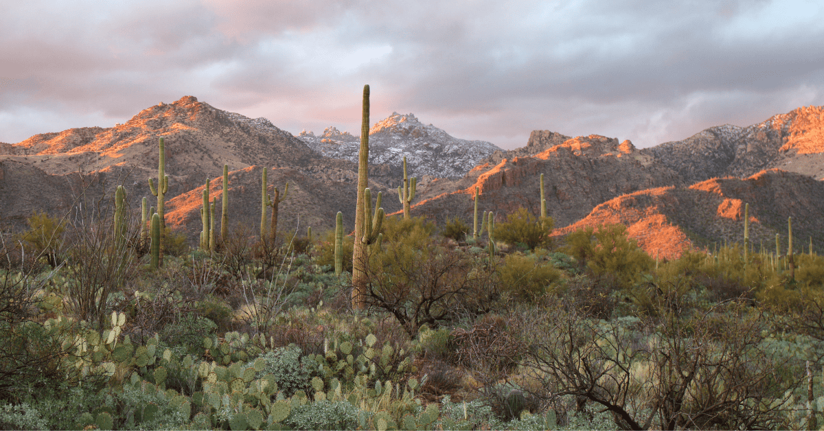 General Dental Practice for Sale in Tucson, Arizona