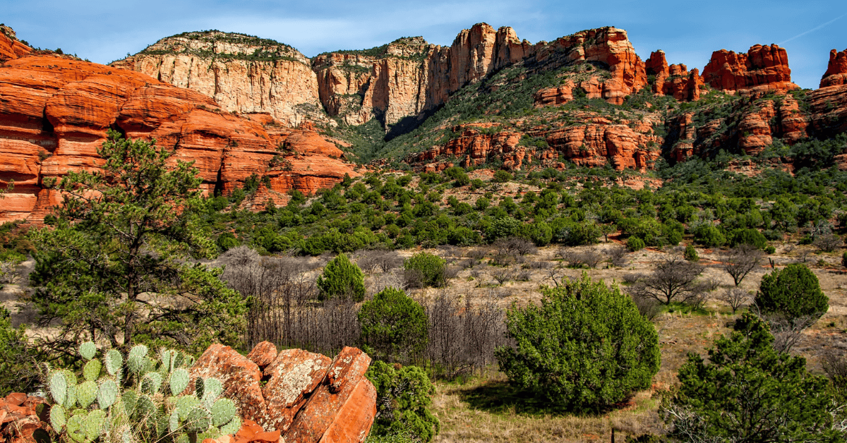 West Texas General Dental Practice for Sale