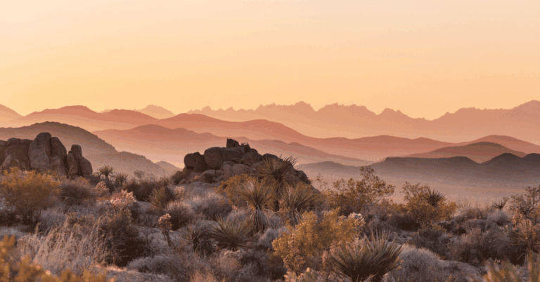 PTS Photo 25 768x402