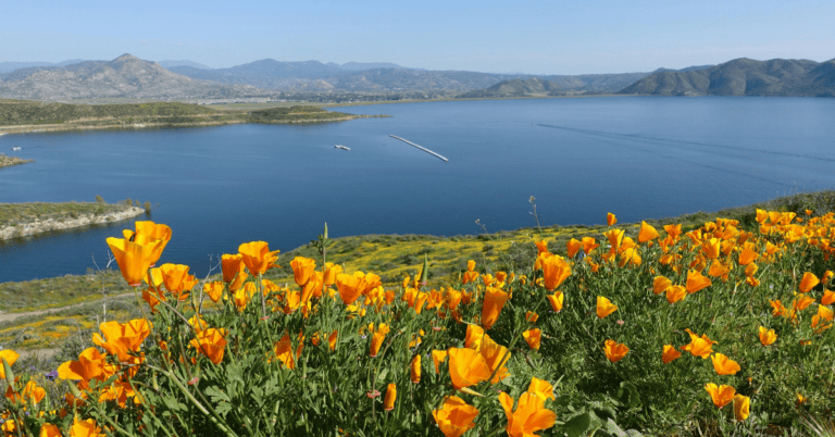 PTS Photo 1 2 768x402