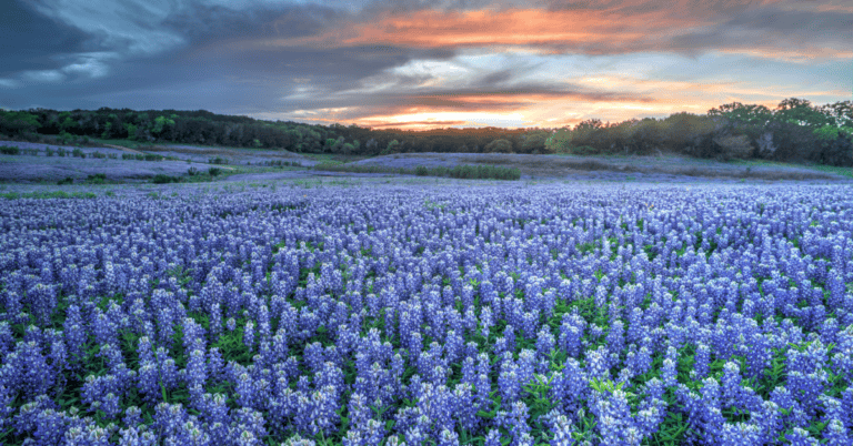 PTS Photo 15 768x402