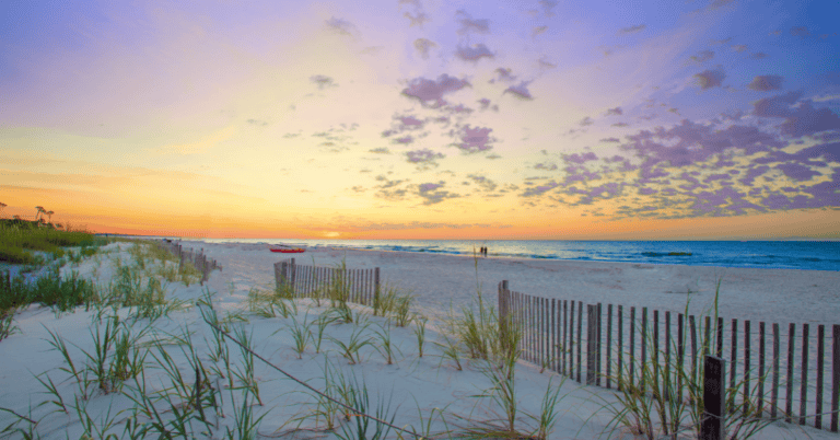 PTS Photo 17 768x402