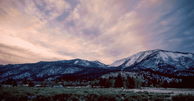 PTS Photo 13 768x402