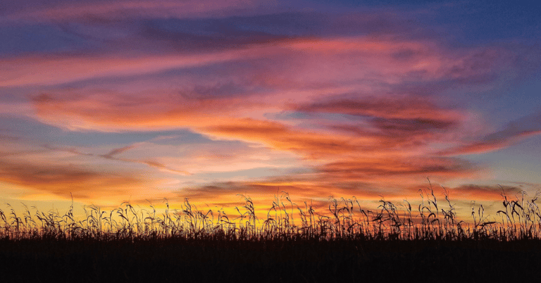 PTS Photo 17 768x402