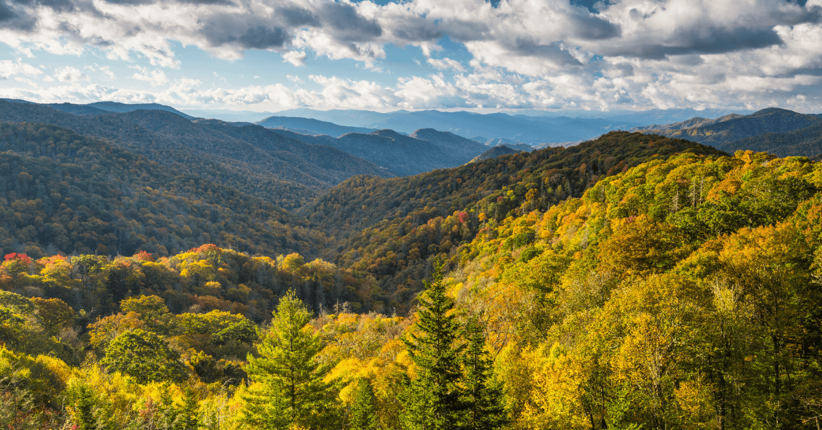 Tennessee Orthodontic Practice for Sale