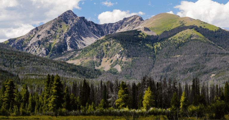 PTS Photo 15 768x402