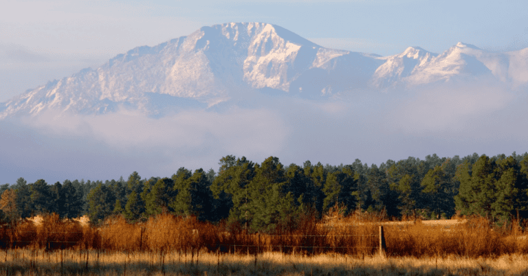 PTS Photo 19 768x402