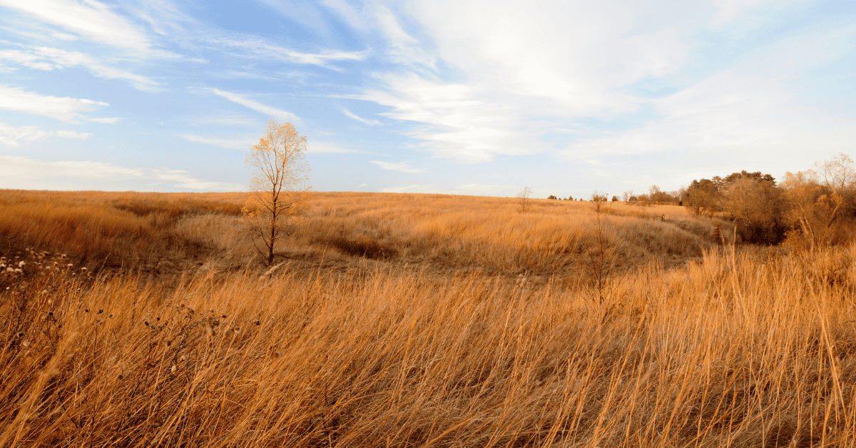 Omaha, NE General Dental Practice – Partnership Opportunity